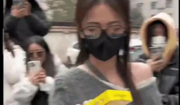 内娱吃瓜爆料图片,吃瓜图鉴，揭秘明星幕后故事